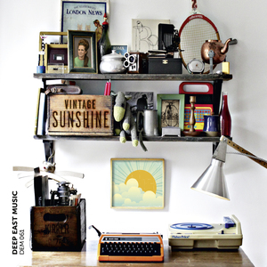 男人茎进女人阳道视频
