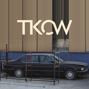 男人茎进女人阳道视频
