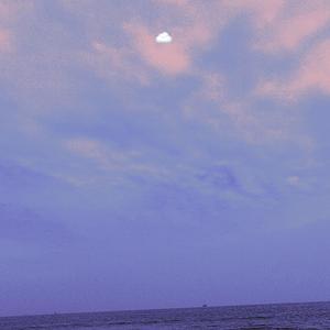 男人茎进女人阳道视频
