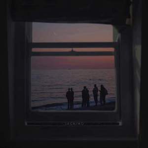 男人茎进女人阳道视频
