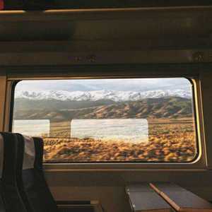 男人茎进女人阳道视频
