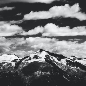 男人茎进女人阳道视频
