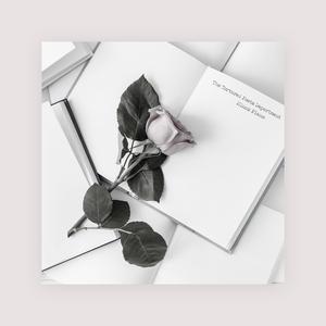 男人茎进女人阳道视频
